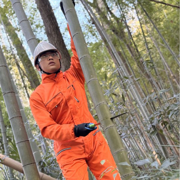 体験活動